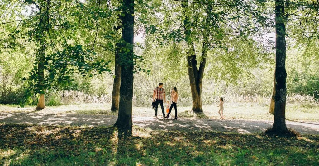 Downloaded Image45434a292d8c