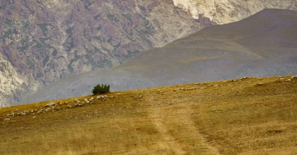 Downloaded Image4543ddb11af