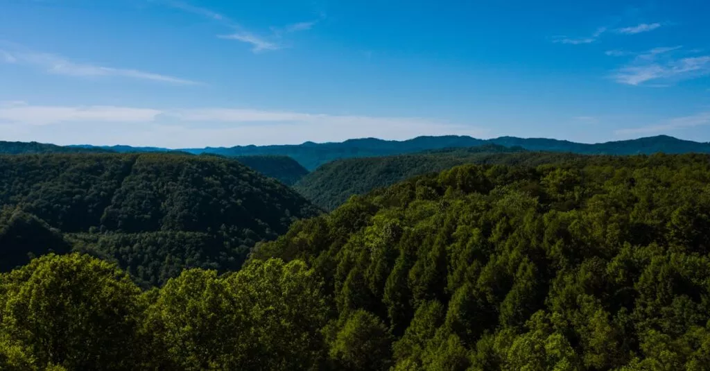 Downloaded Image51993c66e10b