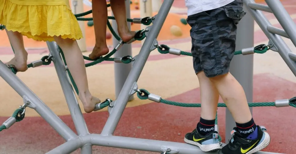 Downloaded Image52d02edf54a9