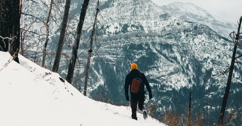 Downloaded Image52d0471c5590