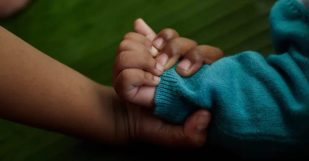 Downloaded Image5810550e6141