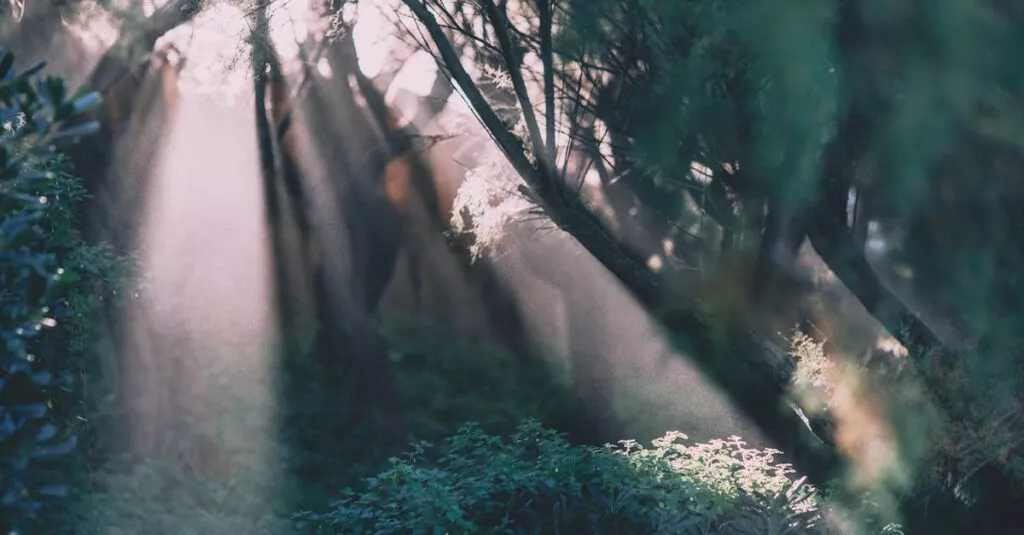 Downloaded Image5d01714c156f