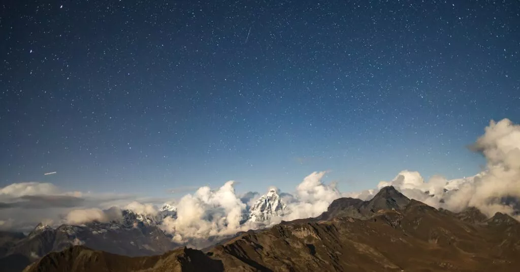 Downloaded Image5d01a142aea