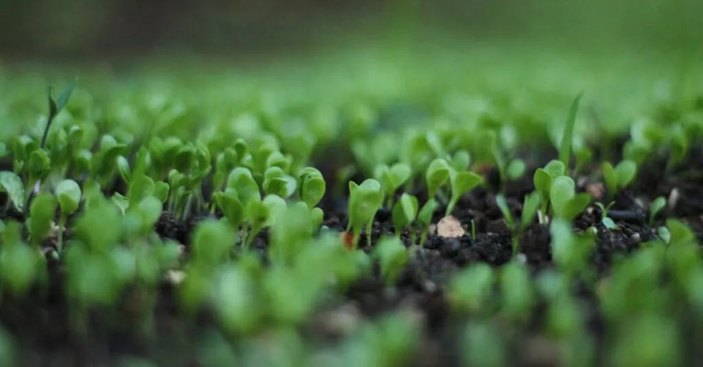 Downloaded Image600c3b5697b9