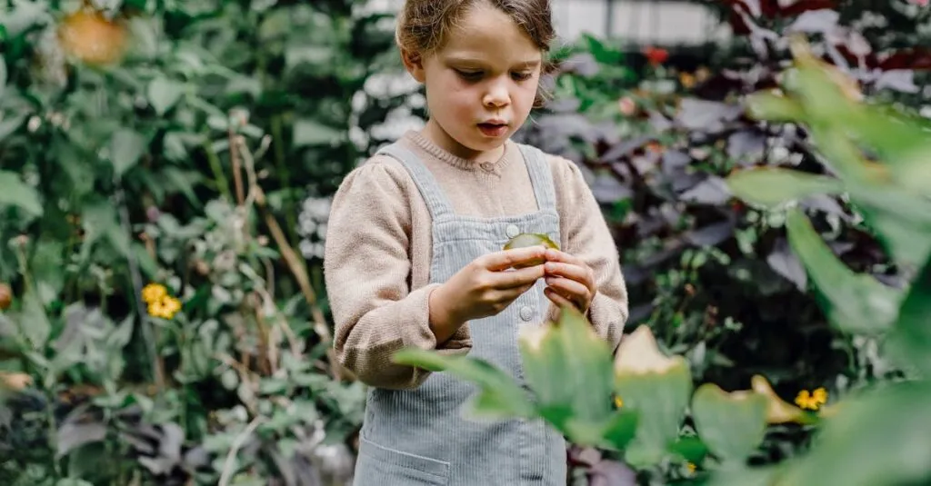 Downloaded Image600c668b0382