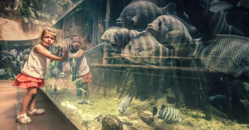 Downloaded Image64a16815125d