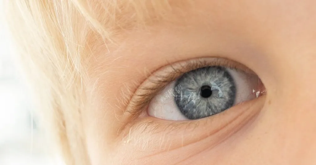 Downloaded Image64a1eeca60