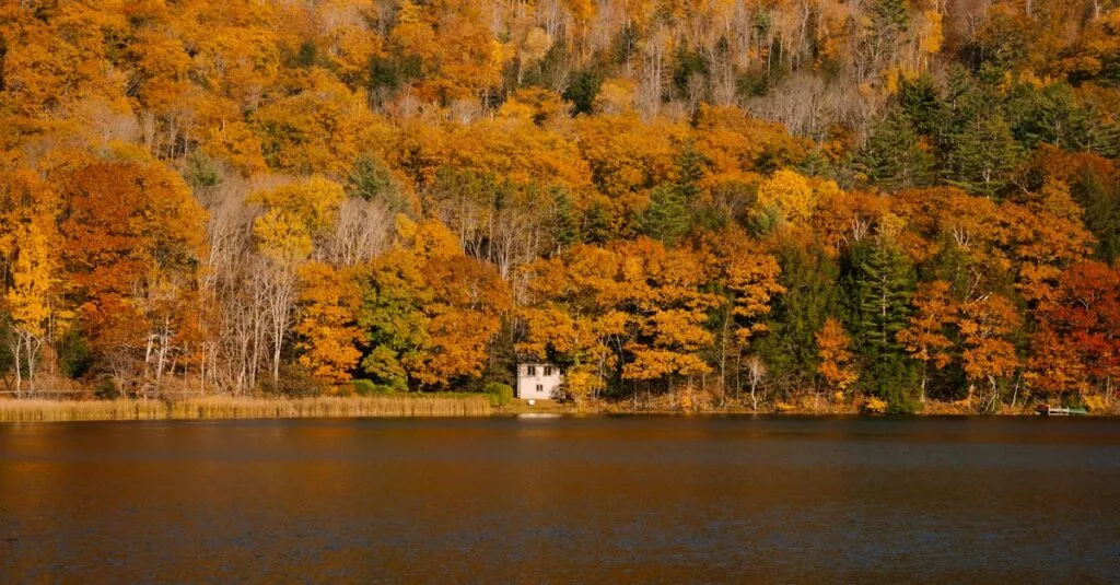 Downloaded Image6893db20179