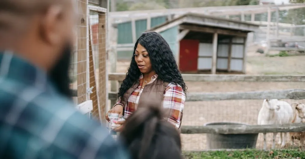 Downloaded Image6a457097376c