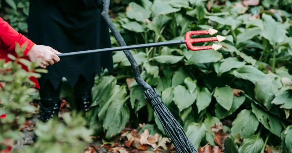 Downloaded Image746b7a025ac2