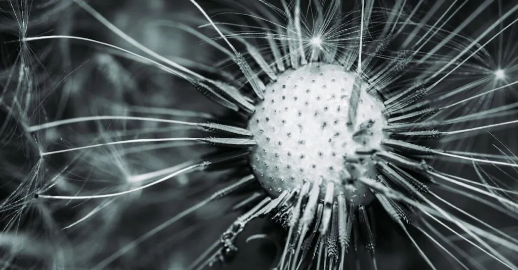 Downloaded Image793b5e37d56e