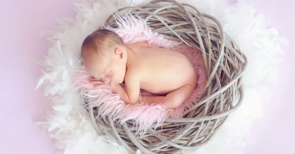 Downloaded Imageafe62cf5483