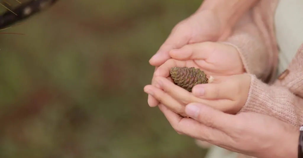 Downloaded Image18876c52ad31