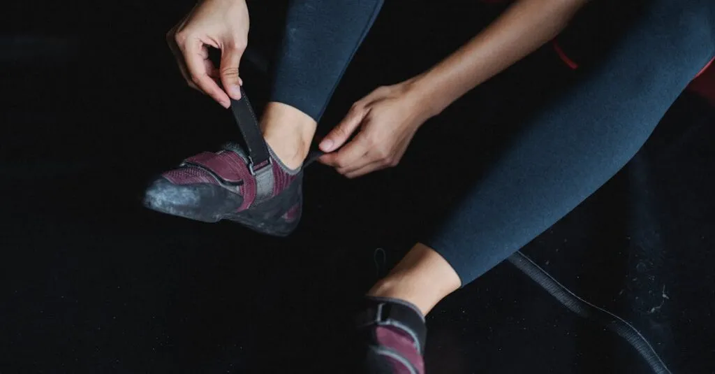 Downloaded Image1887ae67a6a