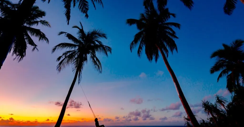 Downloaded Image1a0968b5aee5