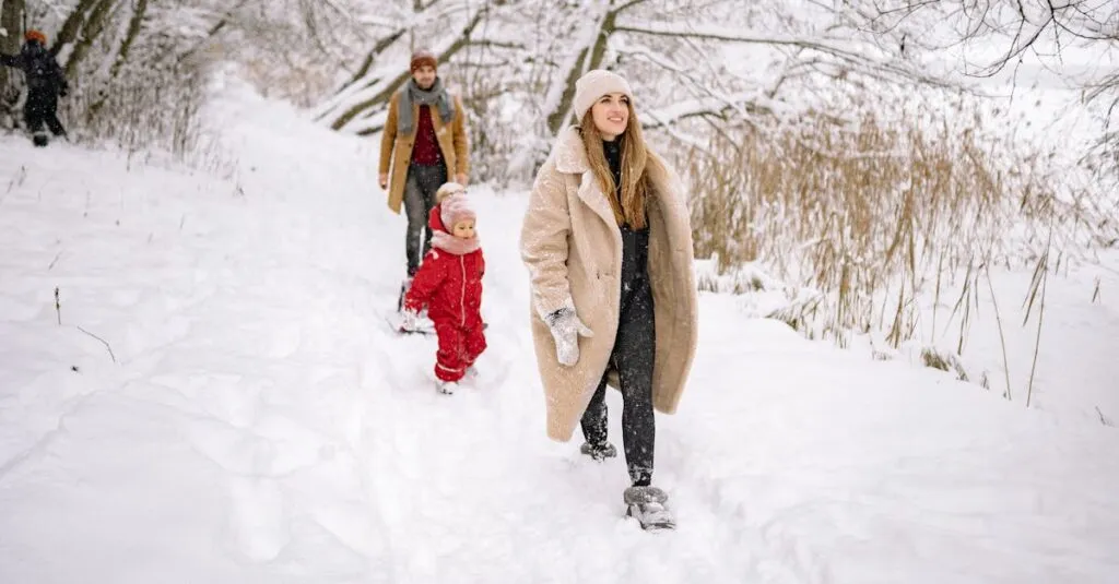 Downloaded Image1d125fe5e6ff