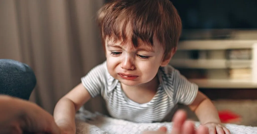 Downloaded Image23233956be5f