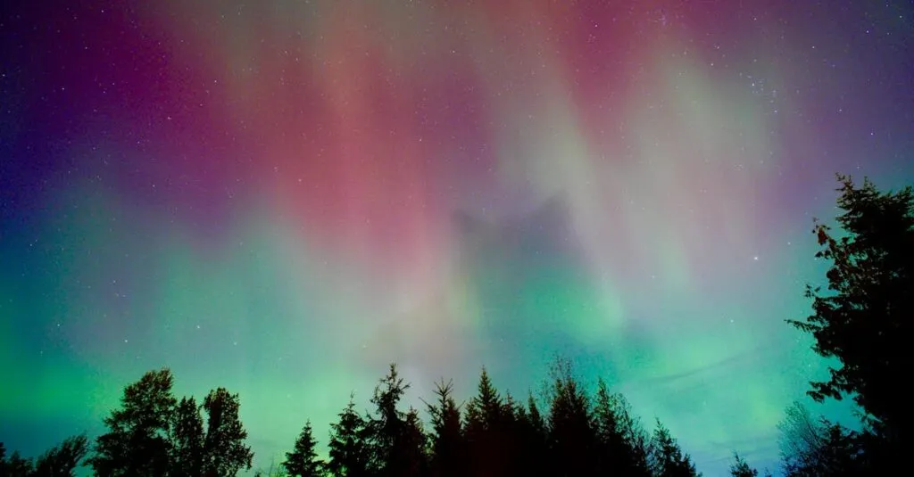 Downloaded Image2f6a2d5f86ab