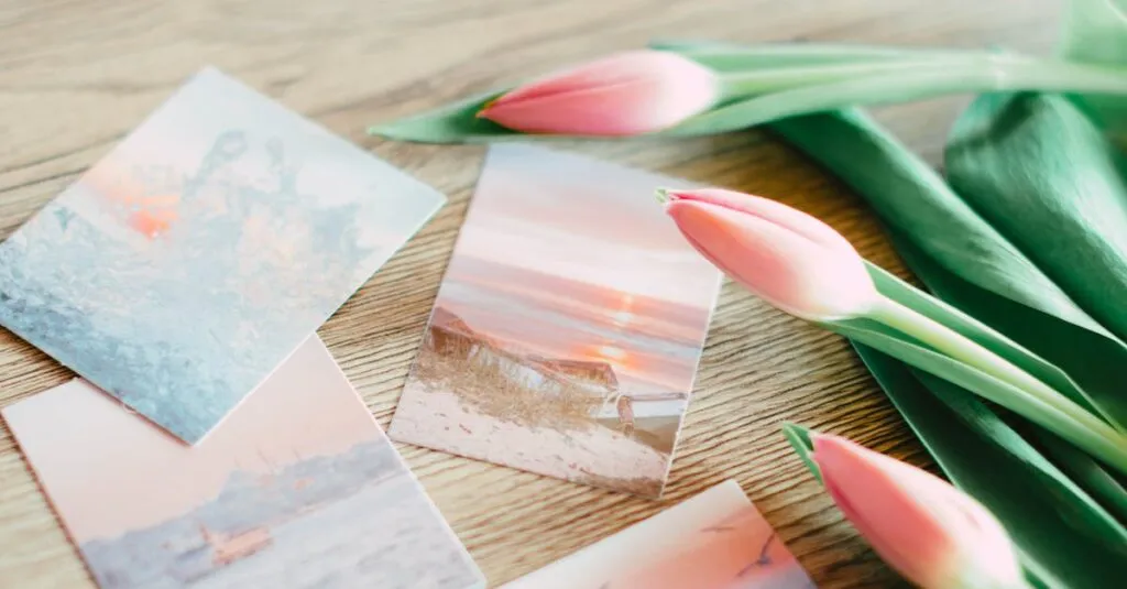 Downloaded Image46231fa29172