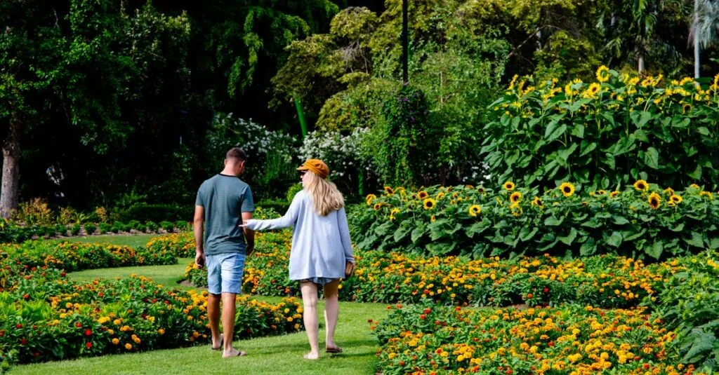 Downloaded Image49dd77ba7d51