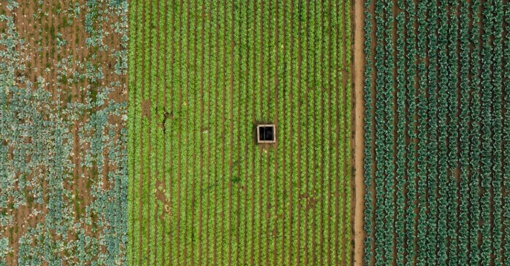 Downloaded Image508e5fdefef4