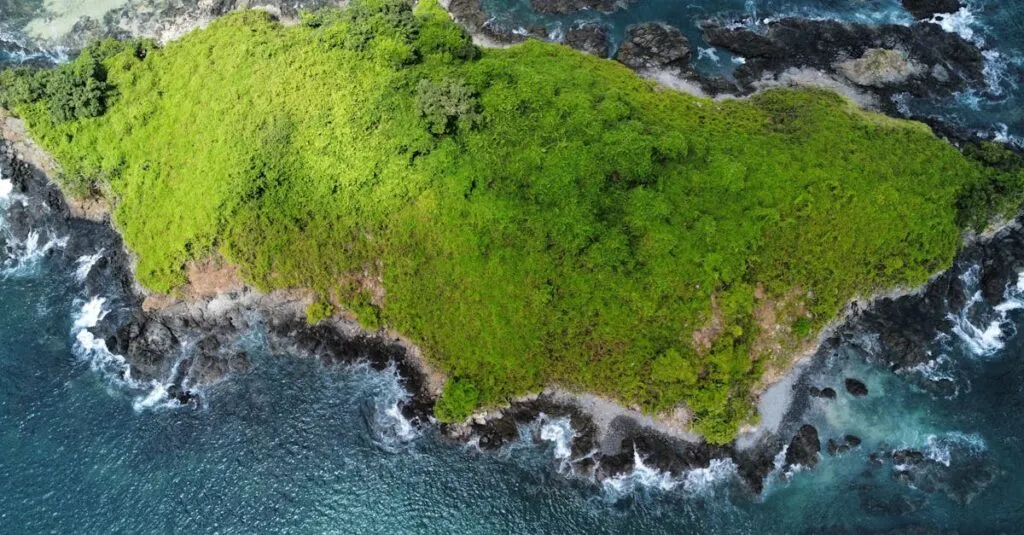 Downloaded Image51821948162