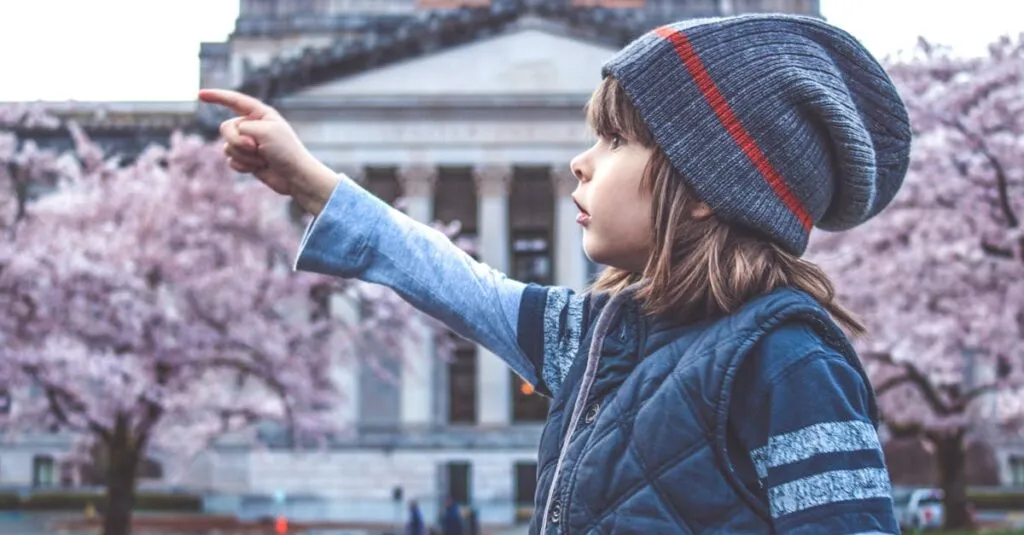 Downloaded Image52637c16451