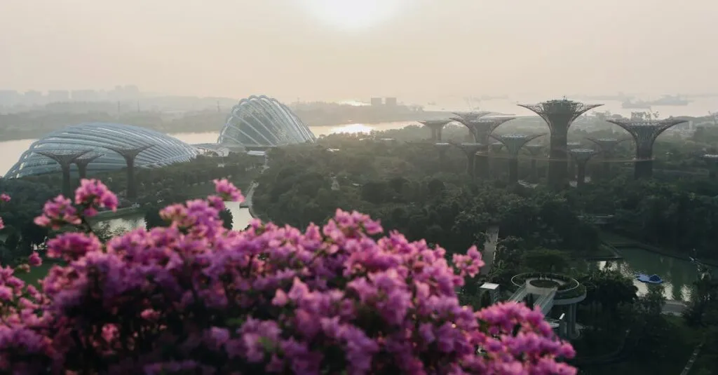 Downloaded Image56af1189dbc0