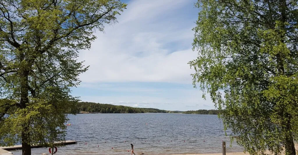 Downloaded Image56af5b03f349