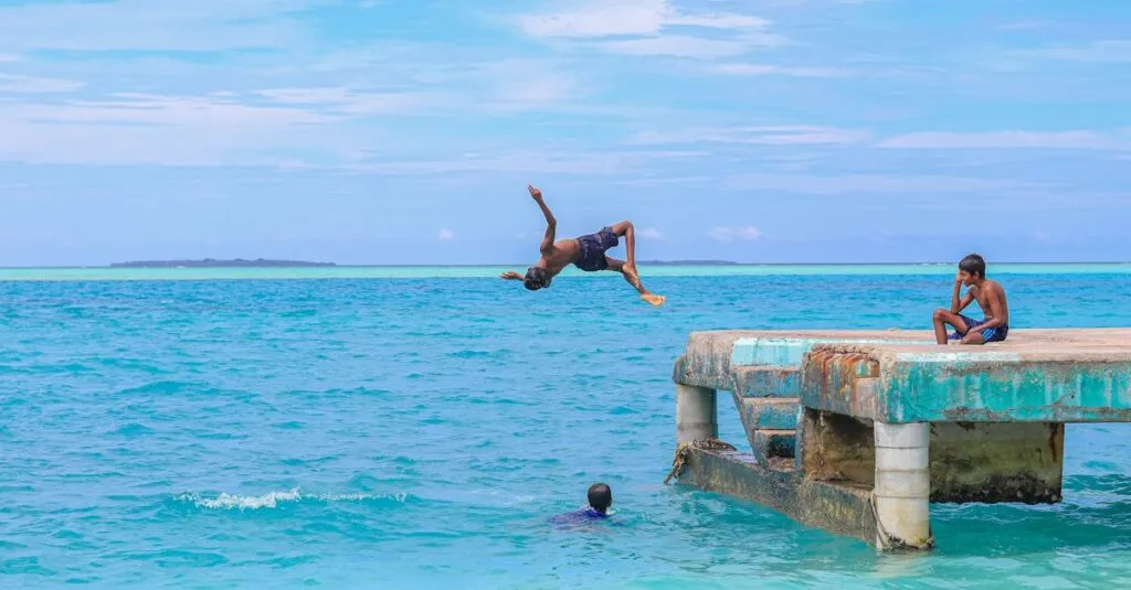 Downloaded Image5d8d16332613