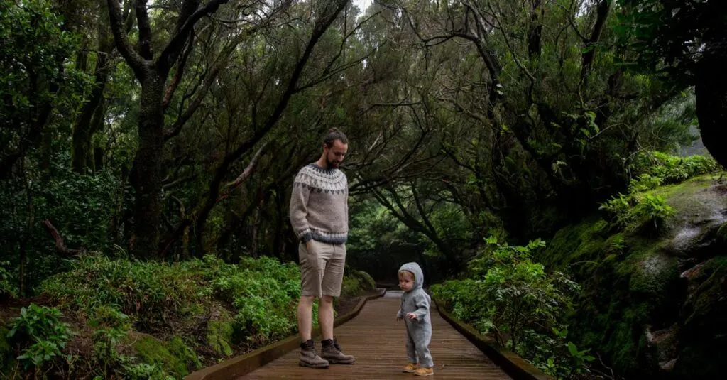 Downloaded Image5d8d5ebb04c4