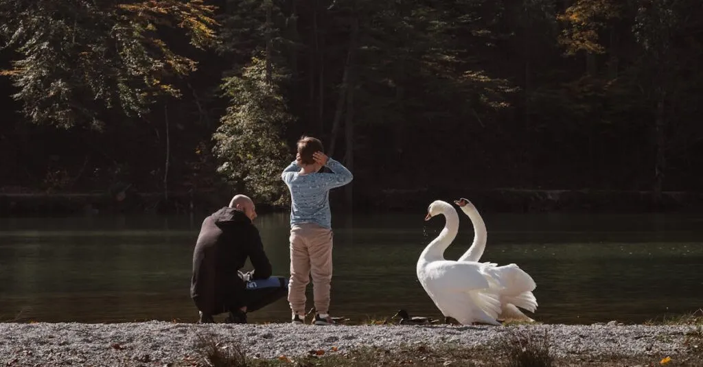 Downloaded Image5d8d719304c6