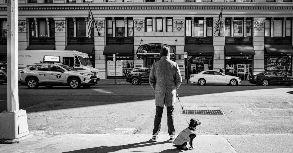 Downloaded Image5e8a10415648