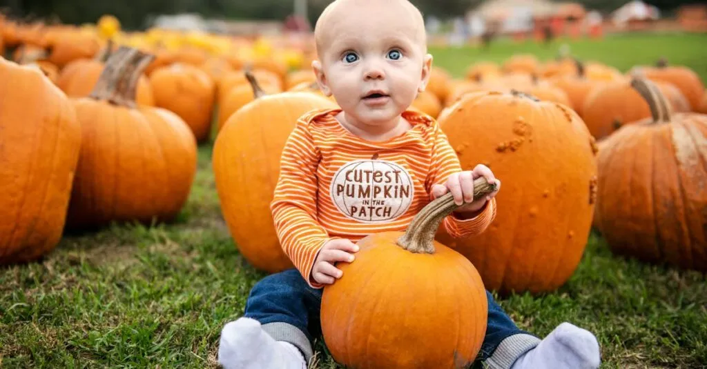 Downloaded Image5e8a6157444b