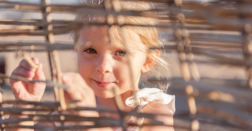 Downloaded Image6baa5e926b51