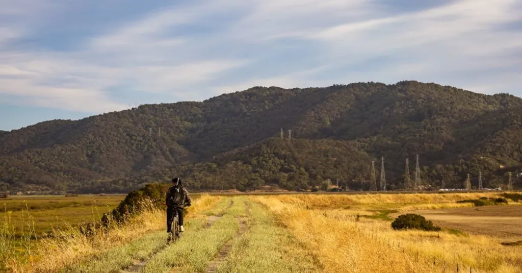 Downloaded Image787371589d2a