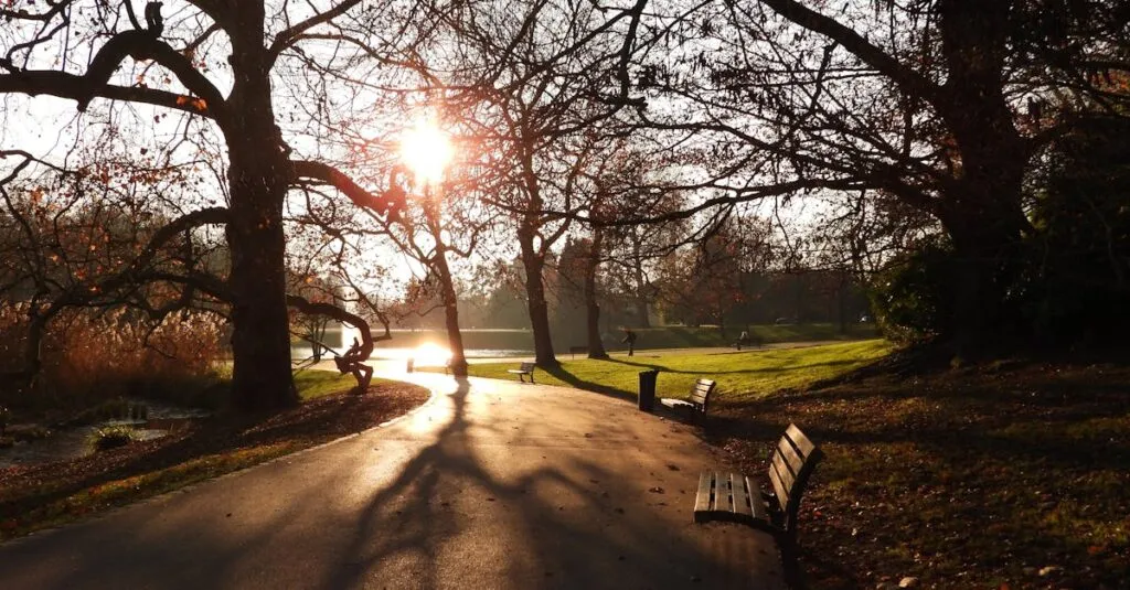 Downloaded Imagee4915b5bf29