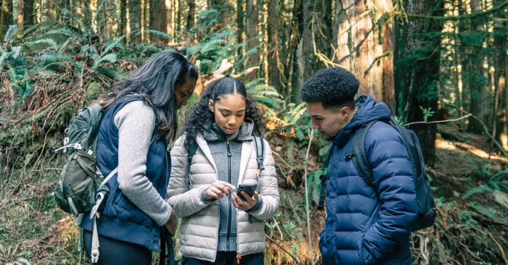 Downloaded Imagee491cbc7c4d