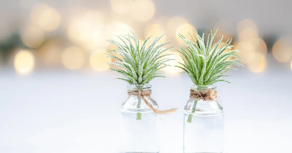 Downloaded Image25b331f1648e