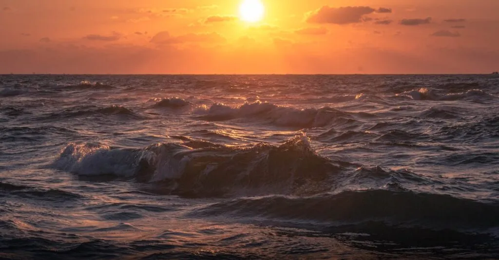 Downloaded Image2a8c71c78e7d