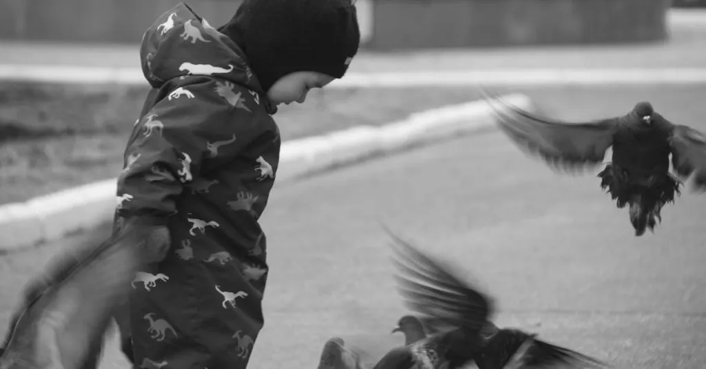 Downloaded Image3737208f65b