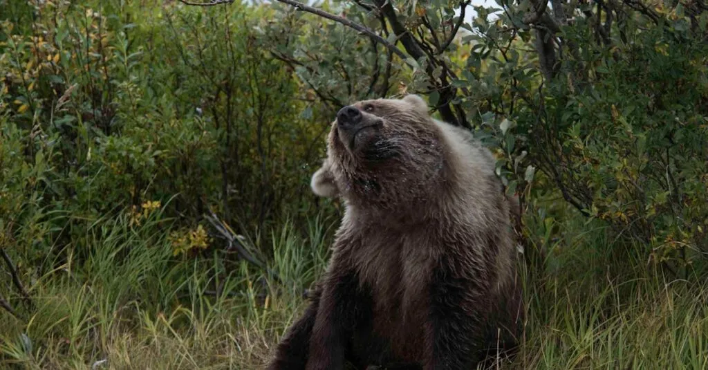 Downloaded Image393071a078a1