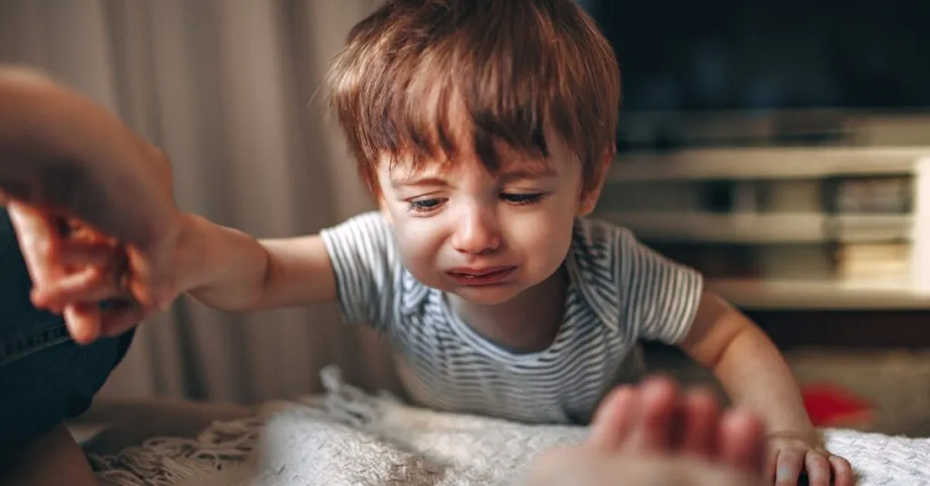 Downloaded Image3bb72b775c11