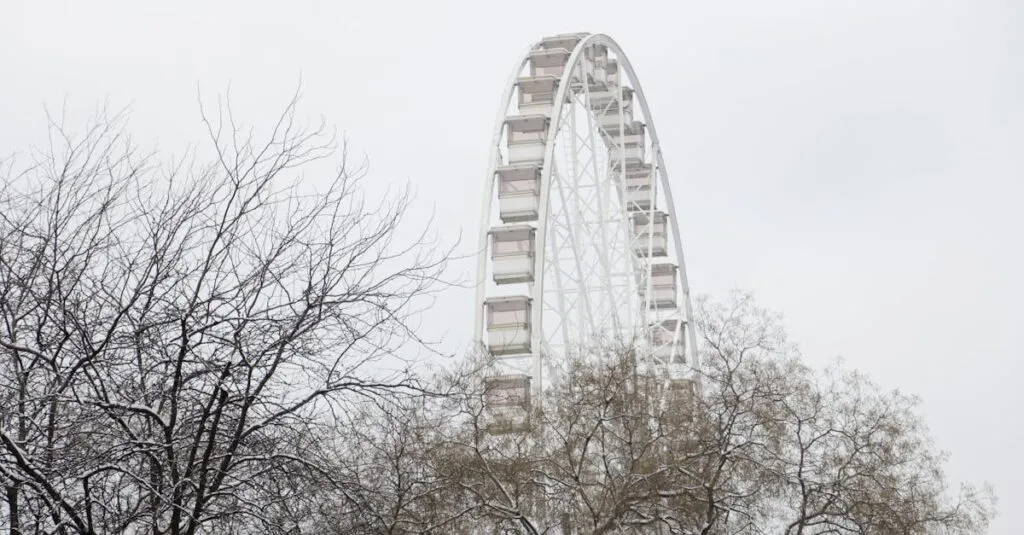 Downloaded Image426a1a0b5b85