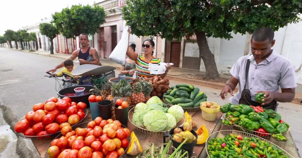 Downloaded Image426a43b0b8fa