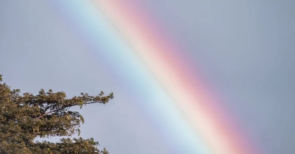 Downloaded Image44a72c2433fc