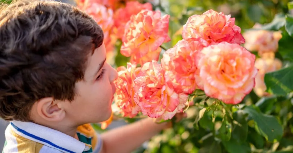 Downloaded Image4b56231efd9f