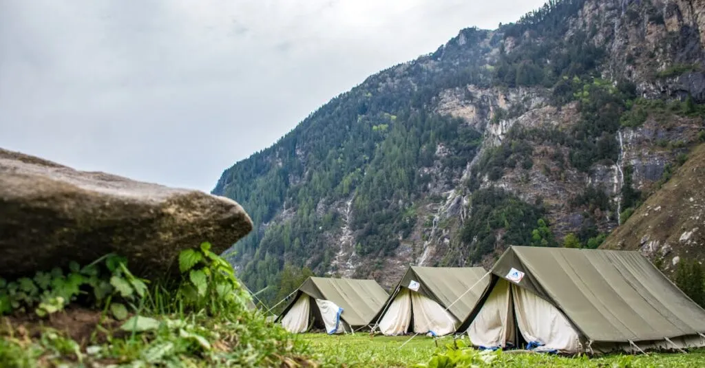 Downloaded Image4c6b11cfa8fb