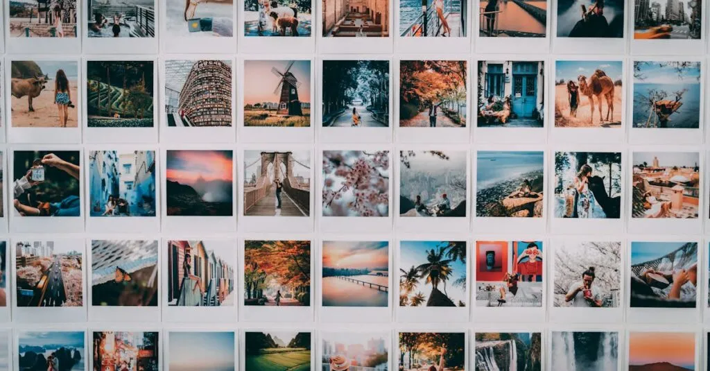 Downloaded Image4c6b71ef4f5